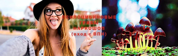 твердый Медногорск