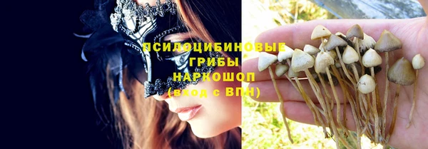 твердый Медногорск
