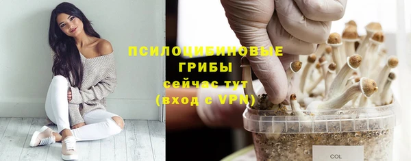 MDMA Медвежьегорск