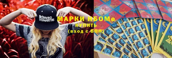 твердый Медногорск