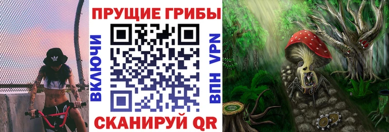 Псилоцибиновые грибы Psilocybine cubensis ссылка на мегу как зайти Сосновоборск