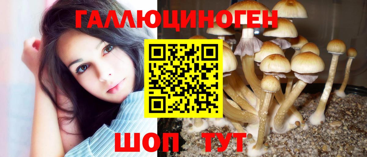 продажа наркотиков  Сосновоборск  Псилоцибиновые грибы Psilocybe  Галлюциногенные грибы Cubensis 