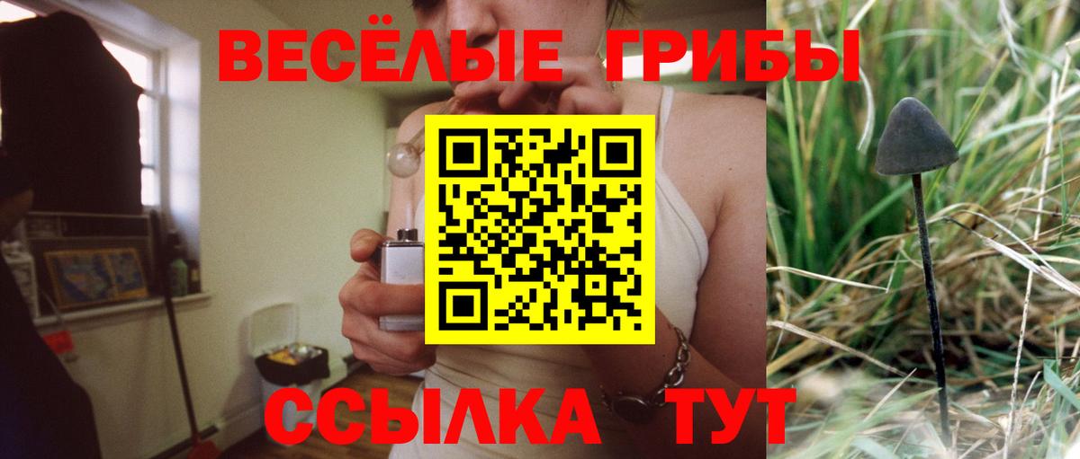Псилоцибиновые грибы Magic Shrooms Сосновоборск