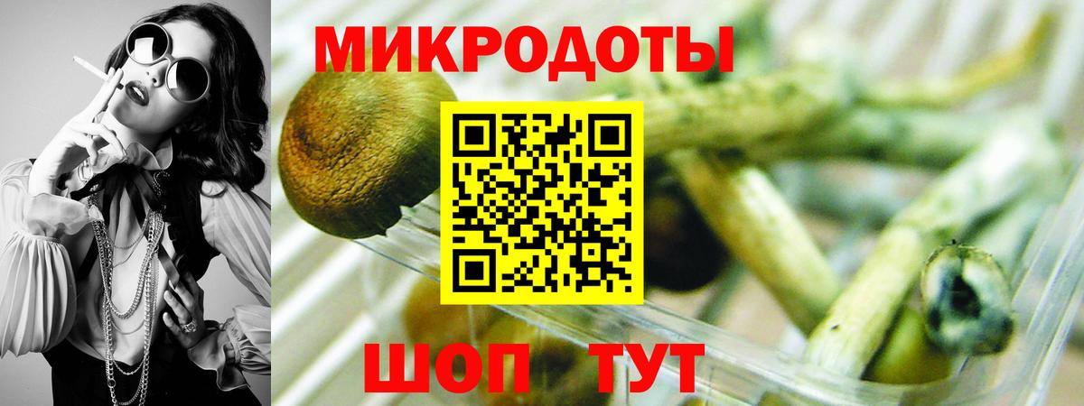 Сосновоборск  Галлюциногенные грибы мухоморы  Вход с VPN 